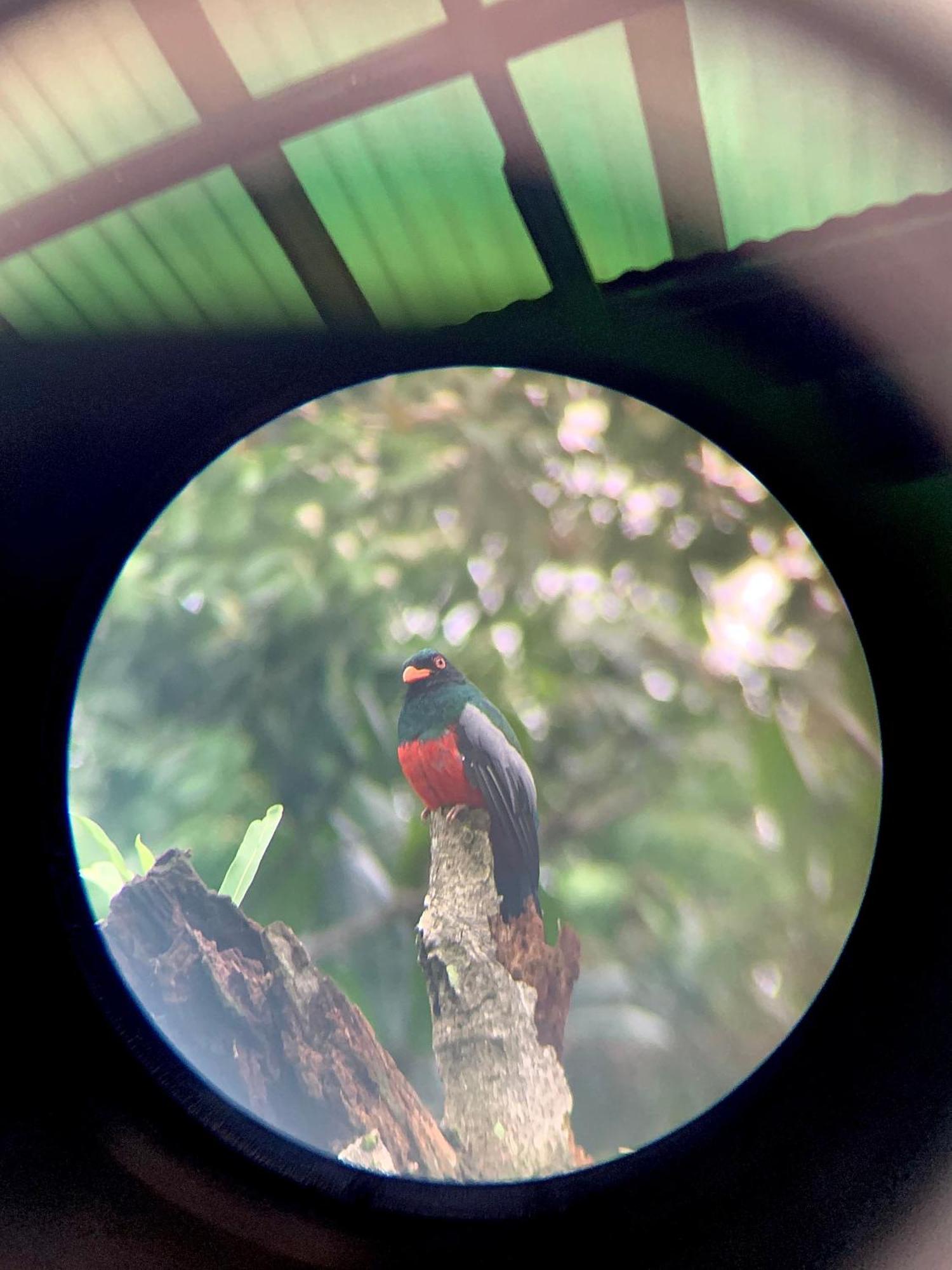 H Et L Appartement Tortuguero Buitenkant foto