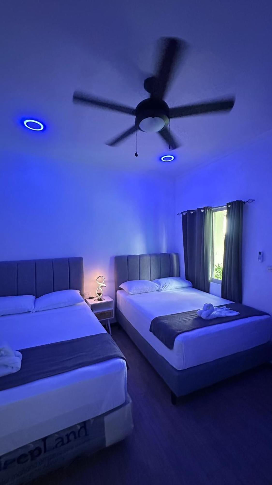 H Et L Appartement Tortuguero Buitenkant foto